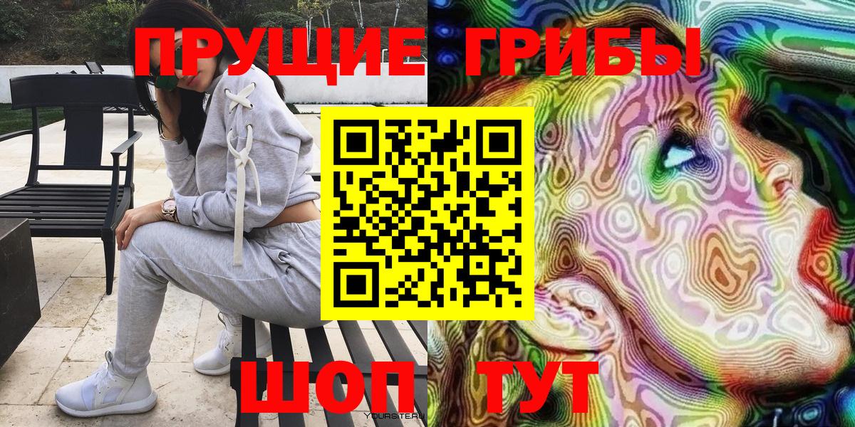 Галлюциногенные грибы Psilocybine cubensis Нововоронеж